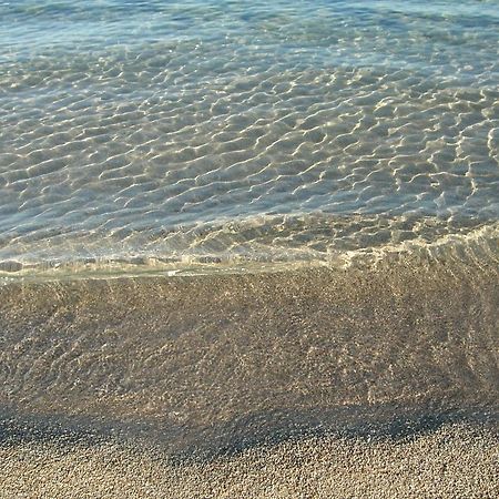 Hotel Residence San Pieru Tarcu エクステリア 写真