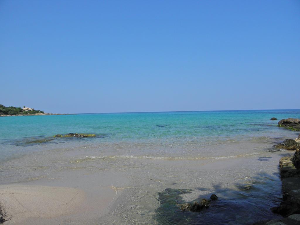 Hotel Residence San Pieru Tarcu エクステリア 写真