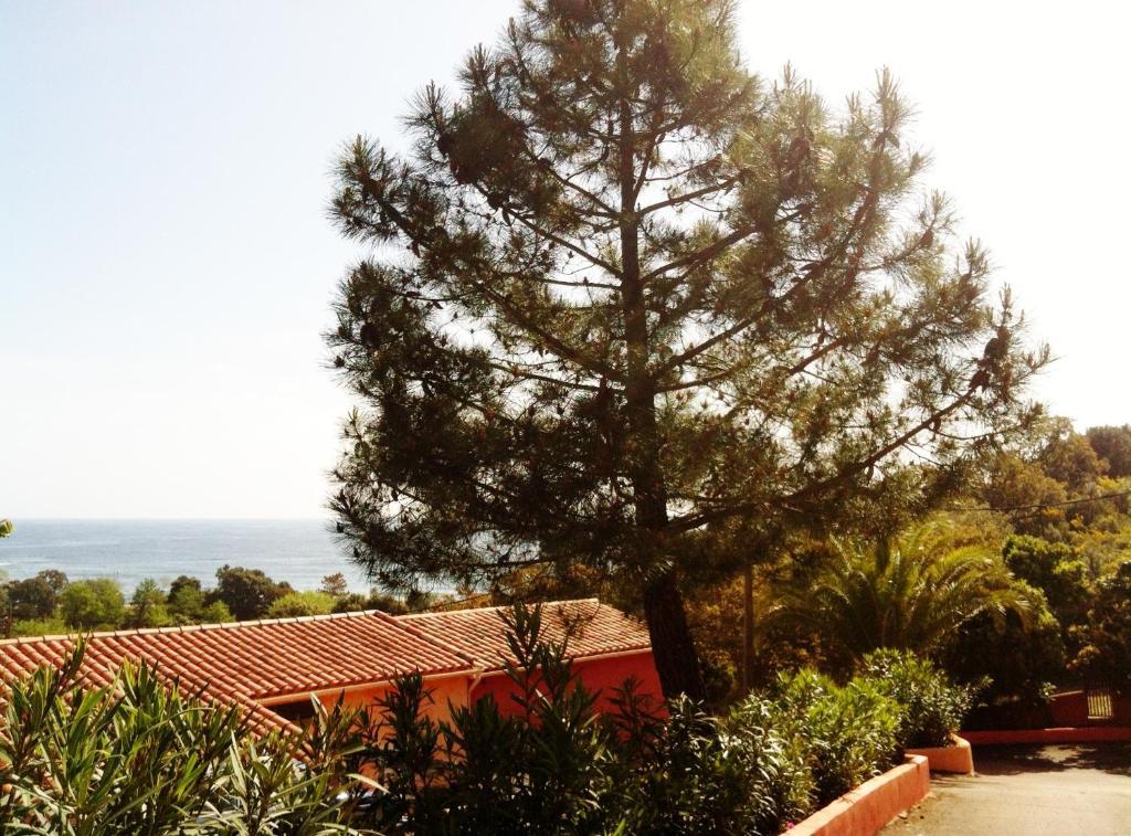 Hotel Residence San Pieru Tarcu エクステリア 写真