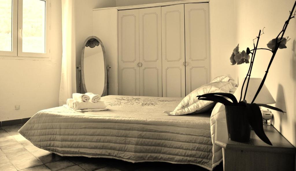 Hotel Residence San Pieru Tarcu エクステリア 写真
