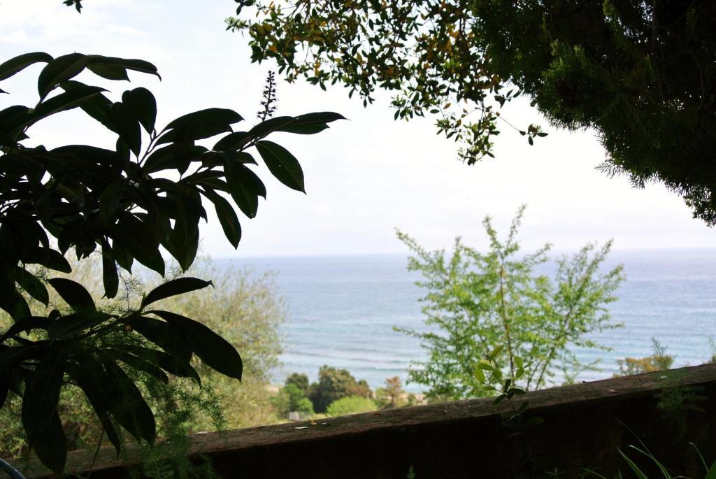 Hotel Residence San Pieru Tarcu エクステリア 写真
