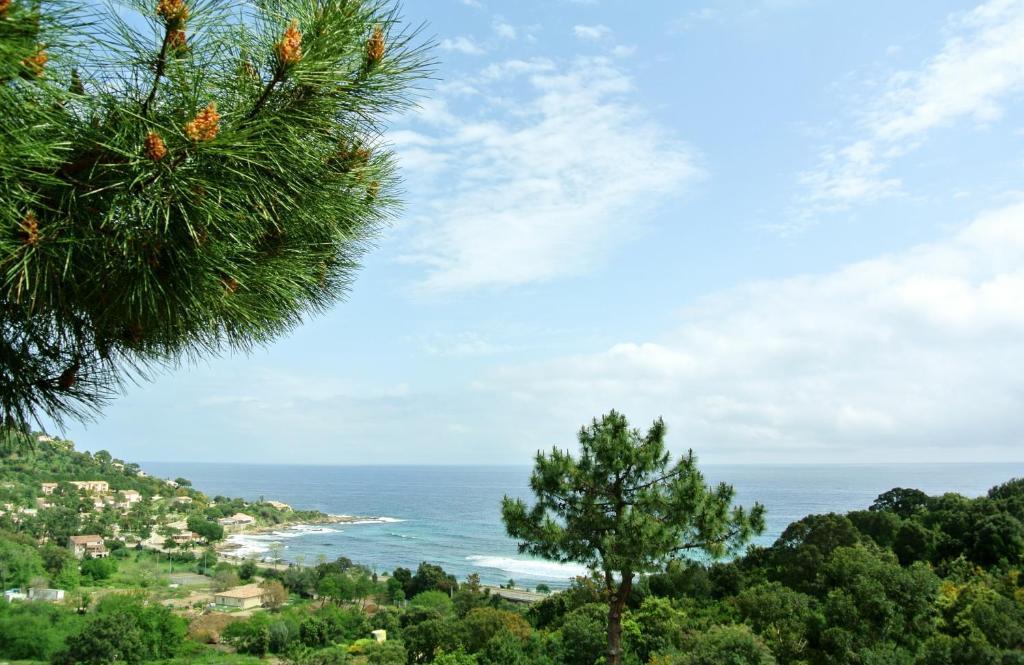 Hotel Residence San Pieru Tarcu エクステリア 写真