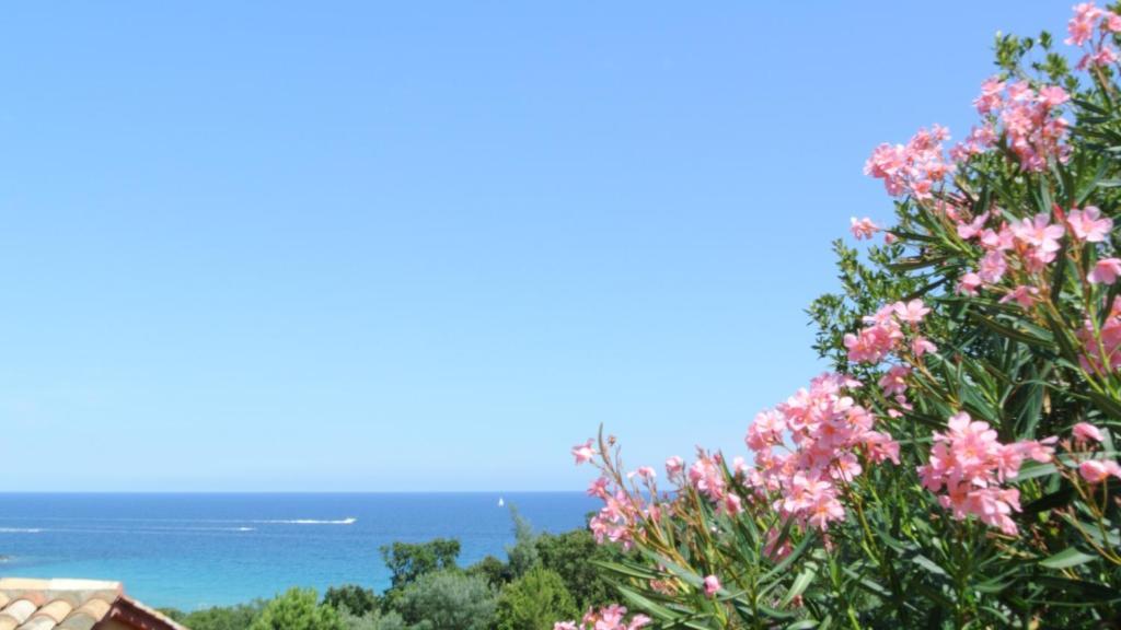 Hotel Residence San Pieru Tarcu 部屋 写真